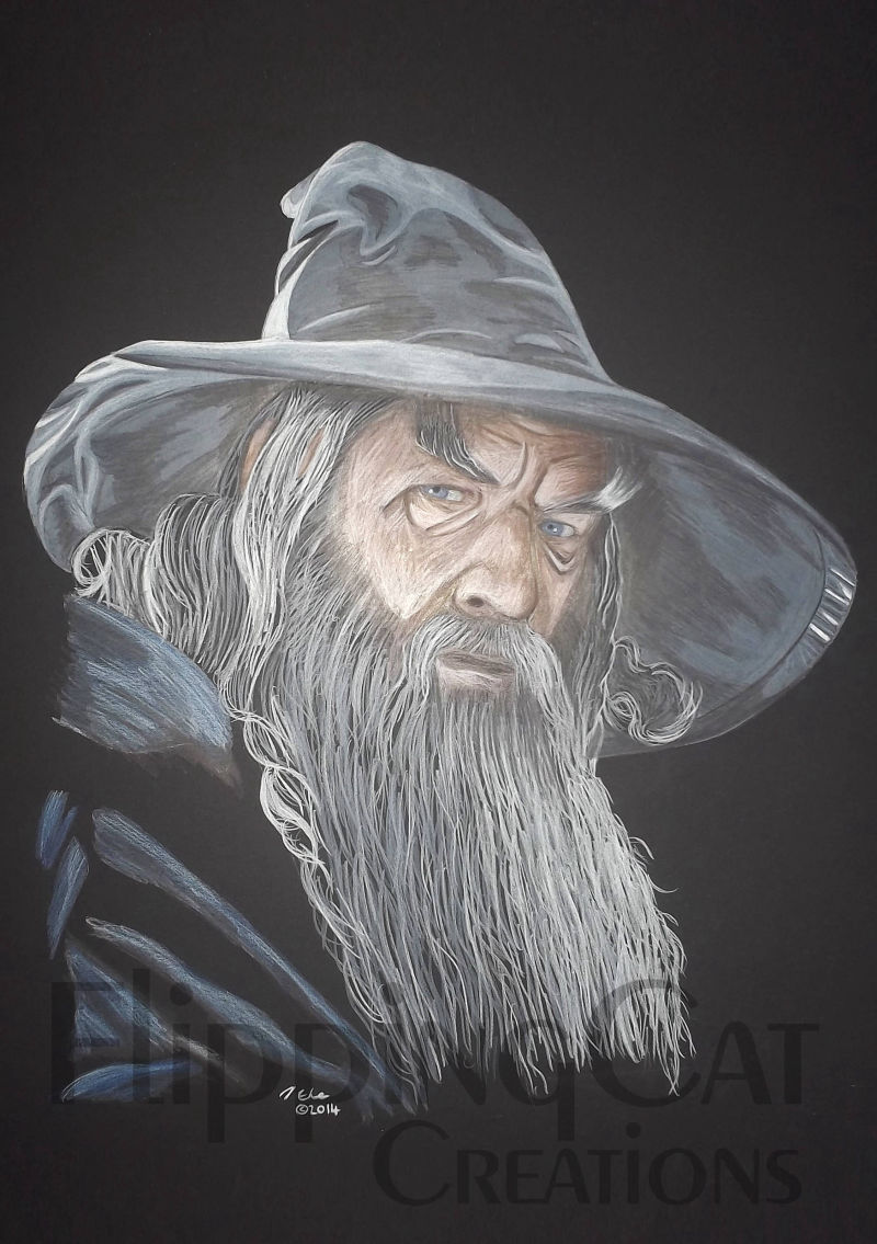 Gandalf - Lord of the Rings - FlippingCat Creations